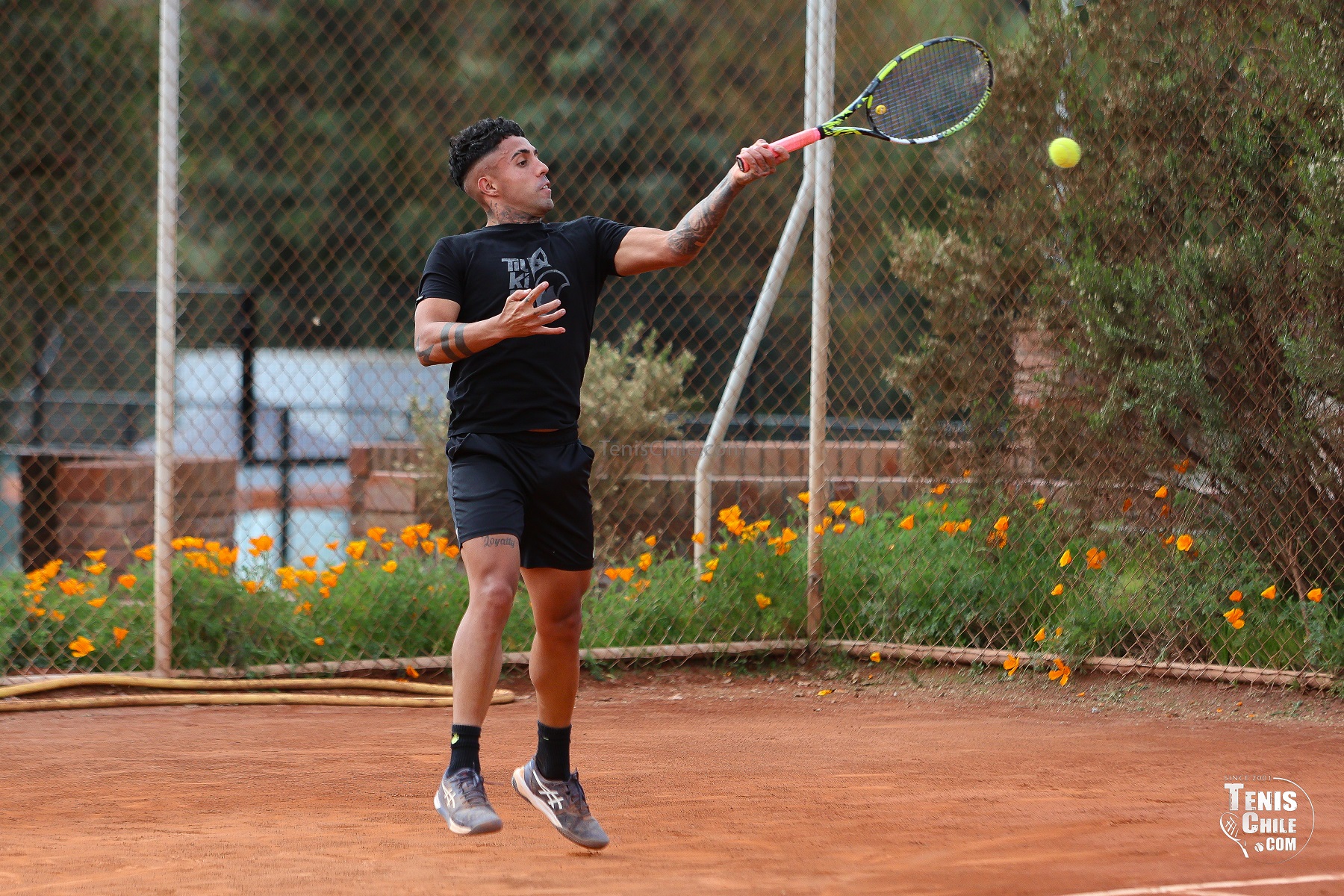 Salazar suma su 8° punto ATP