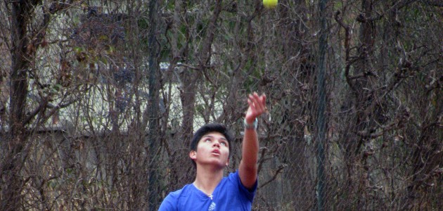 Soto se mete en semifinales de Estados Unidos